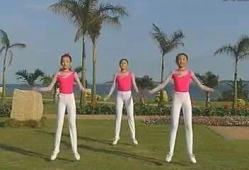 第二套广播体操视频完整版,活力四溢，健康生活新篇章